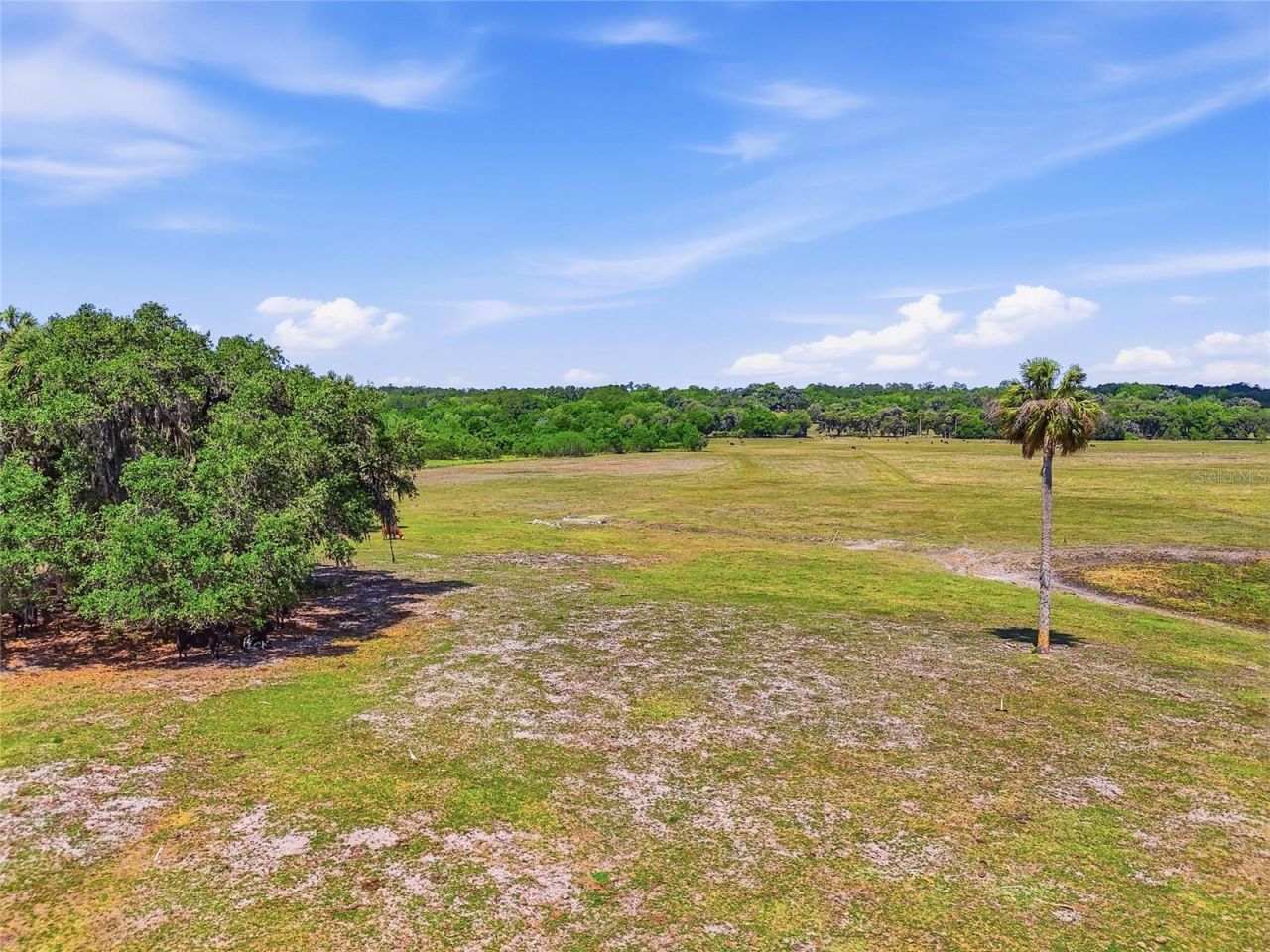 22130 NW 75th Avenue Road, Micanopy, FL 32667 Photo