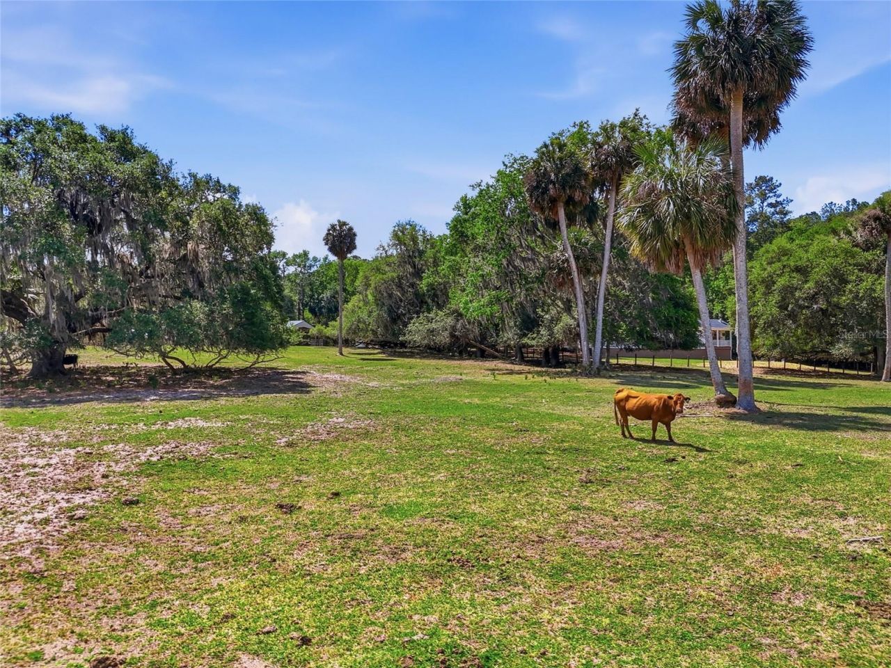 22130 NW 75th Avenue Road, Micanopy, FL 32667 Photo