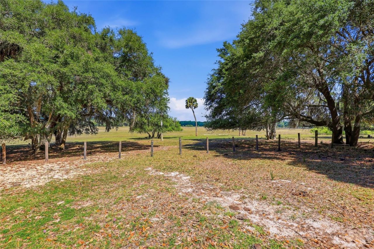 22130 NW 75th Avenue Road, Micanopy, FL 32667 Photo