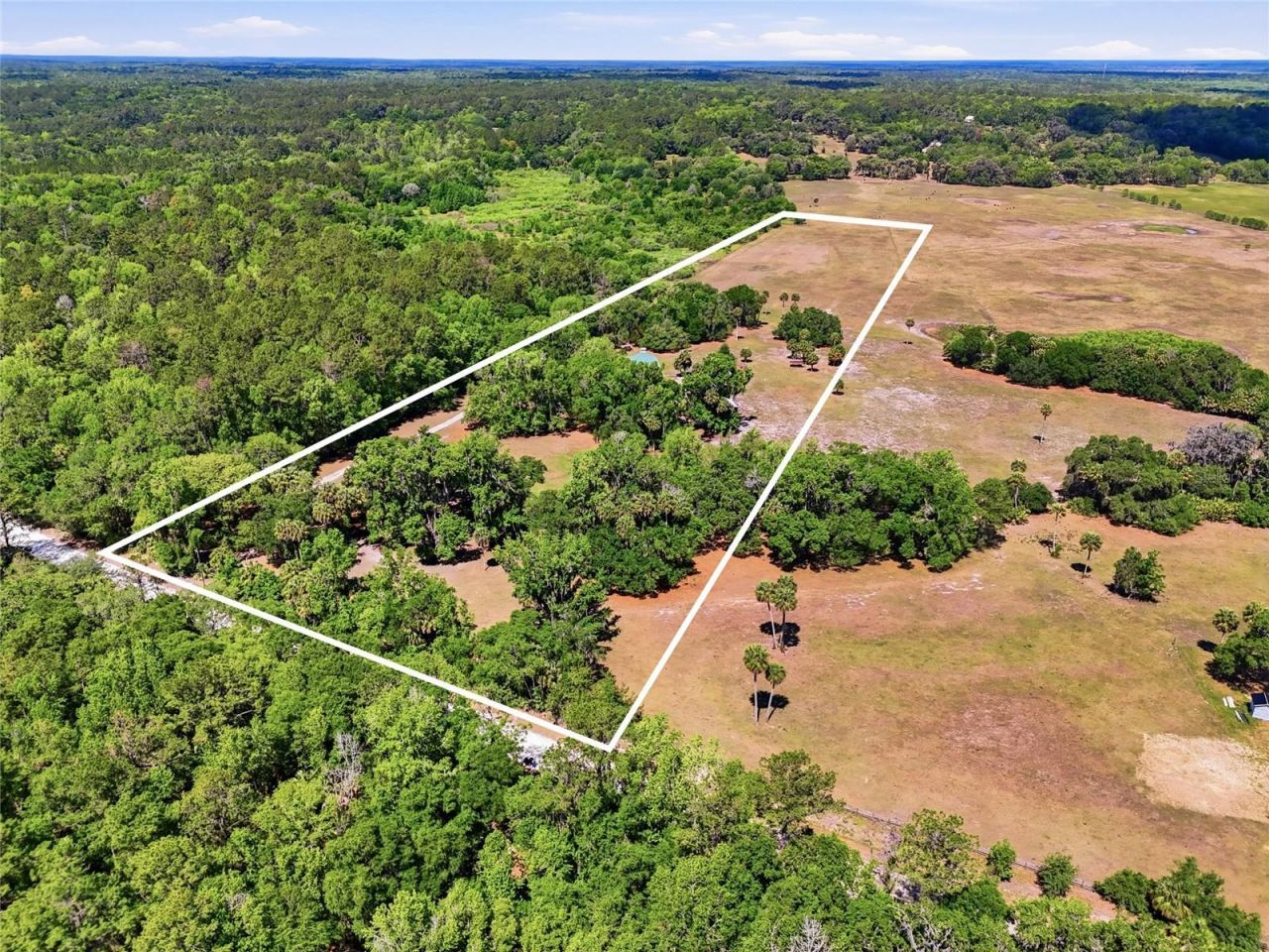 22130 NW 75th Avenue Road, Micanopy, FL 32667 Photo