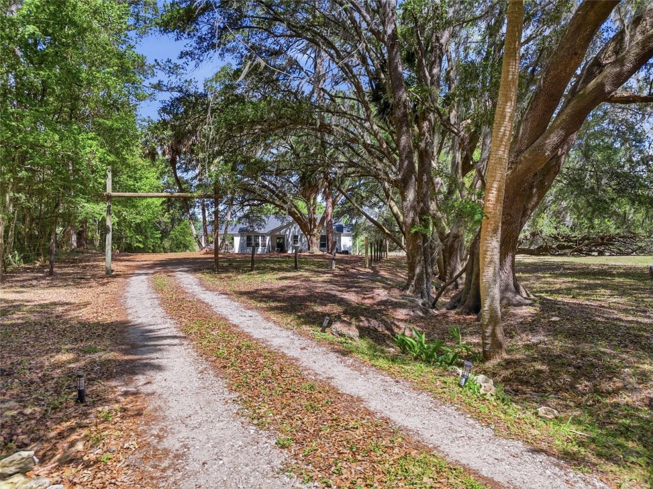 22130 NW 75th Avenue Road, Micanopy, FL 32667 Photo