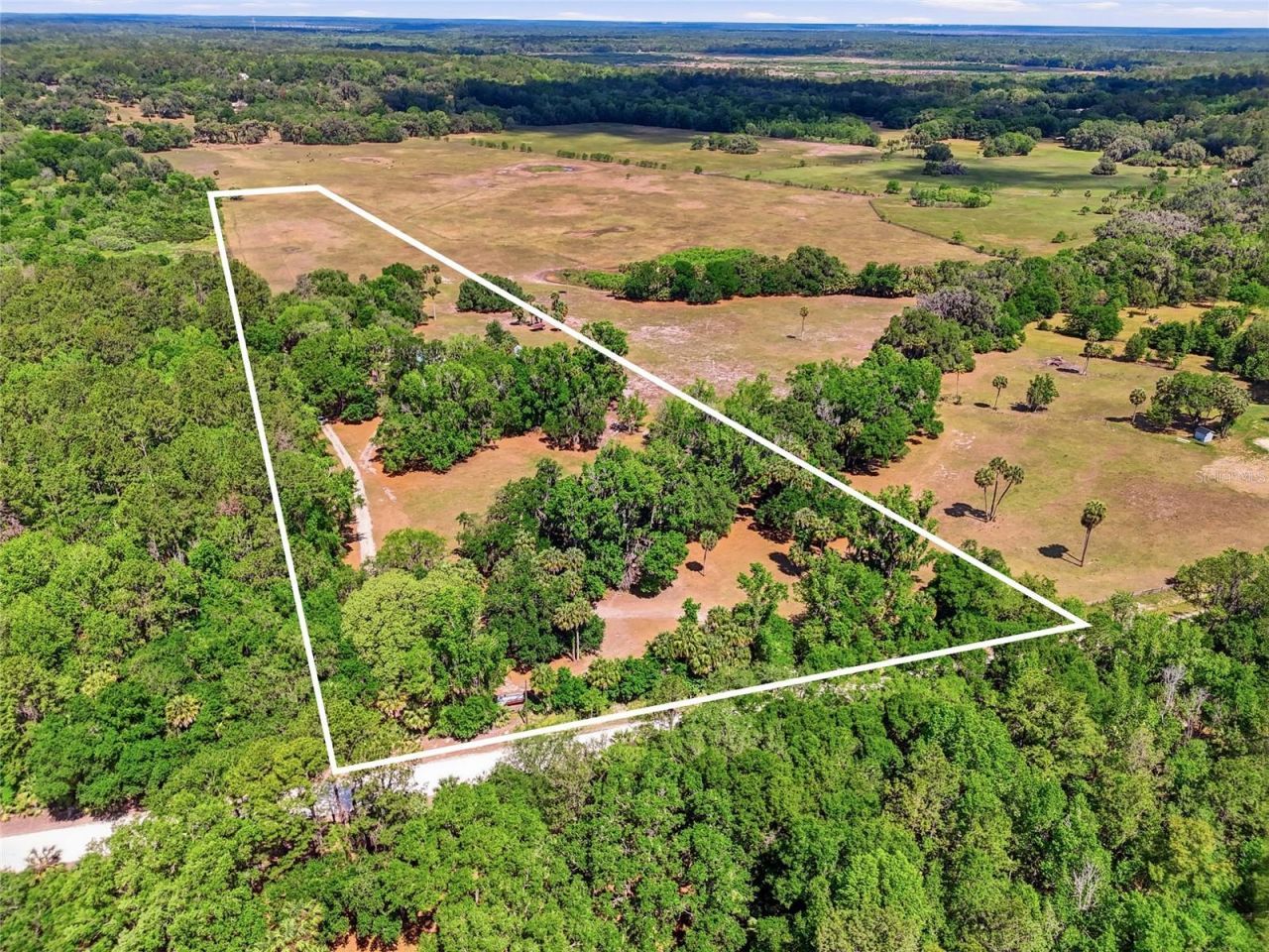 22130 NW 75th Avenue Road, Micanopy, FL 32667 Photo