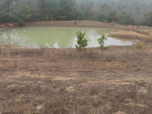 TBD County road 204 , Centerville, TX 75833