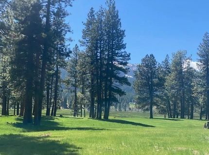 581 Redtail Loop, Clio, CA 96106 Photo