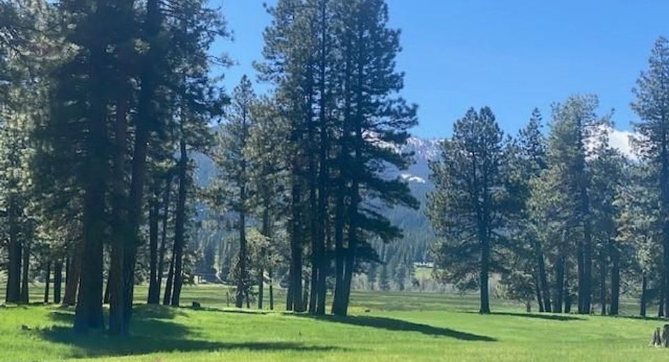 581 Redtail Loop, Clio, CA 96106 Photo