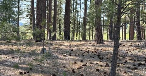 581 Redtail Loop, Clio, CA 96106 Photo