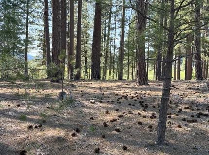581 Redtail Loop, Clio, CA 96106 Photo