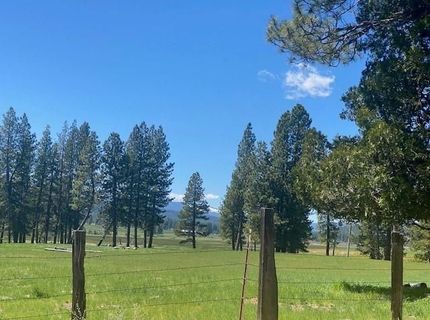 581 Redtail Loop, Clio, CA 96106 Photo