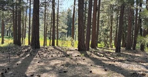581 Redtail Loop, Clio, CA 96106 Photo
