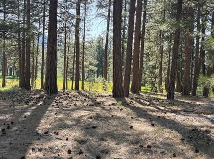 581 Redtail Loop, Clio, CA 96106 Photo