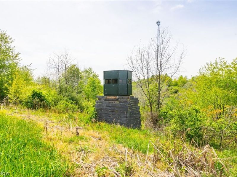 17418 118, Coshocton, OH 43812 Photo 11