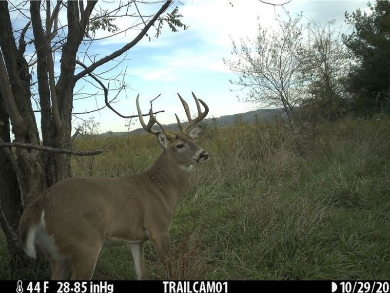 17418 118, Coshocton, OH 43812 Photo 14
