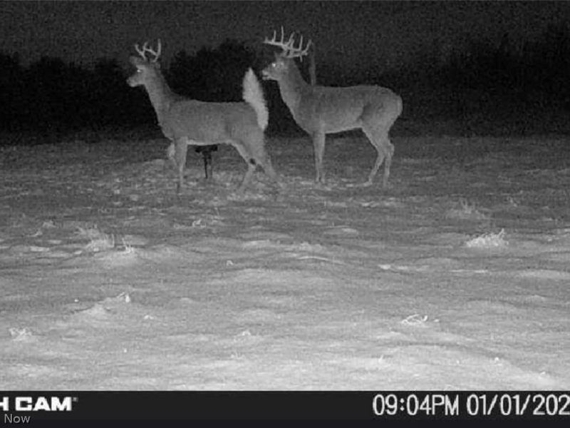 17418 118, Coshocton, OH 43812 Photo 15