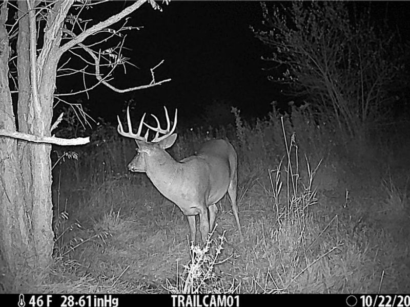 17418 118, Coshocton, OH 43812 Photo 17