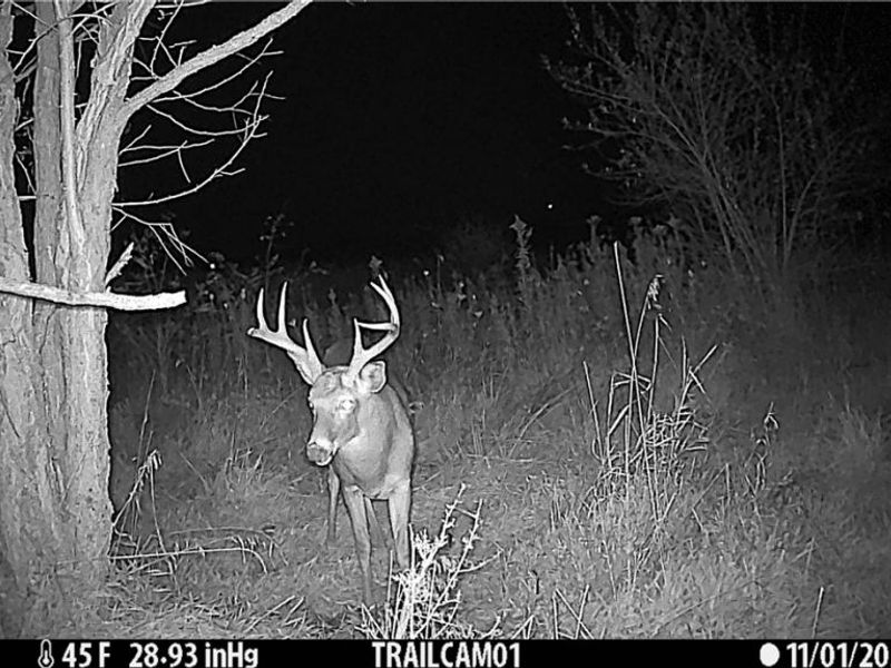 17418 118, Coshocton, OH 43812 Photo 18