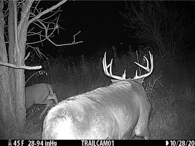 17418 118, Coshocton, OH 43812 Photo 19