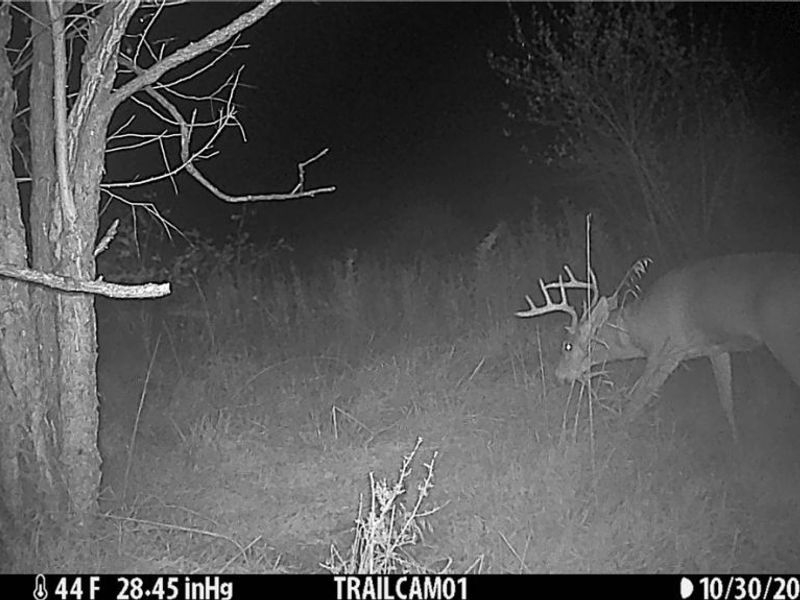 17418 118, Coshocton, OH 43812 Photo 20