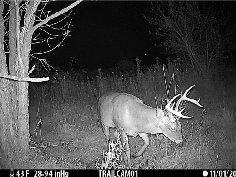 17418 118, Coshocton, OH 43812 Photo 21