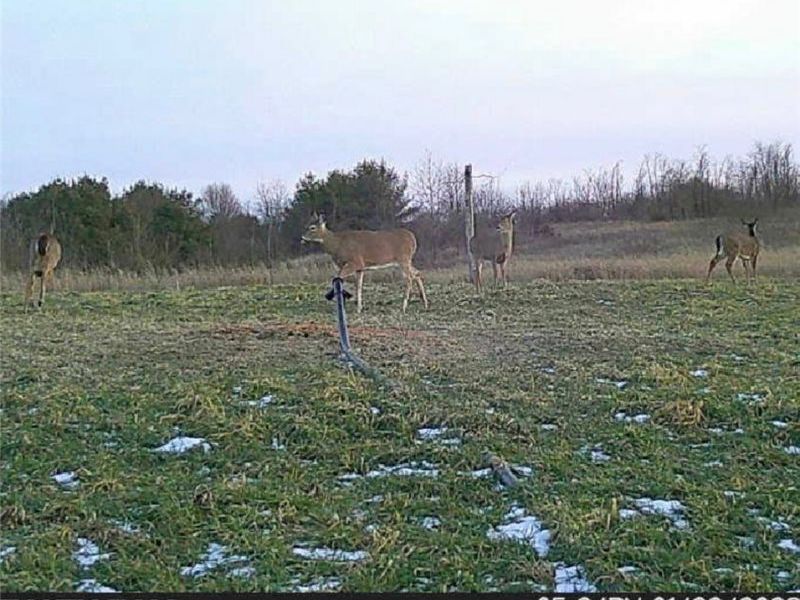 17418 118, Coshocton, OH 43812 Photo 23
