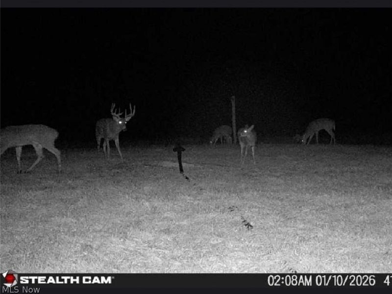 17418 118, Coshocton, OH 43812 Photo 24