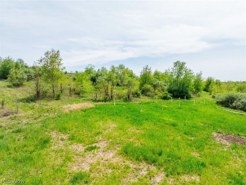 17418 118, Coshocton, OH 43812 Photo 27