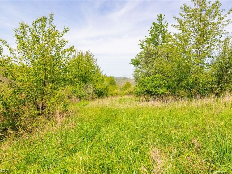 17418 118, Coshocton, OH 43812 Photo 29
