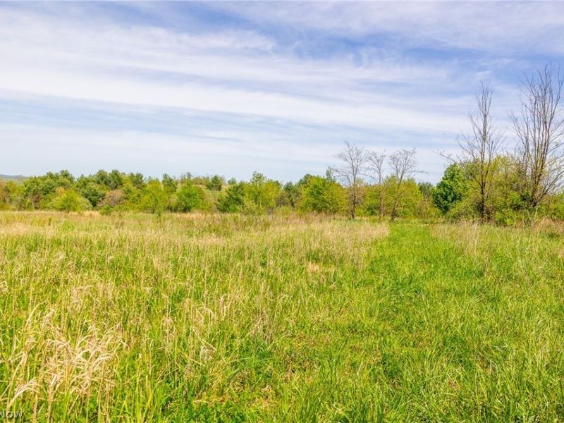 17418 118, Coshocton, OH 43812 Photo 31