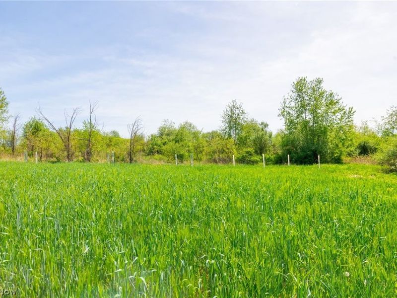 17418 118, Coshocton, OH 43812 Photo 32
