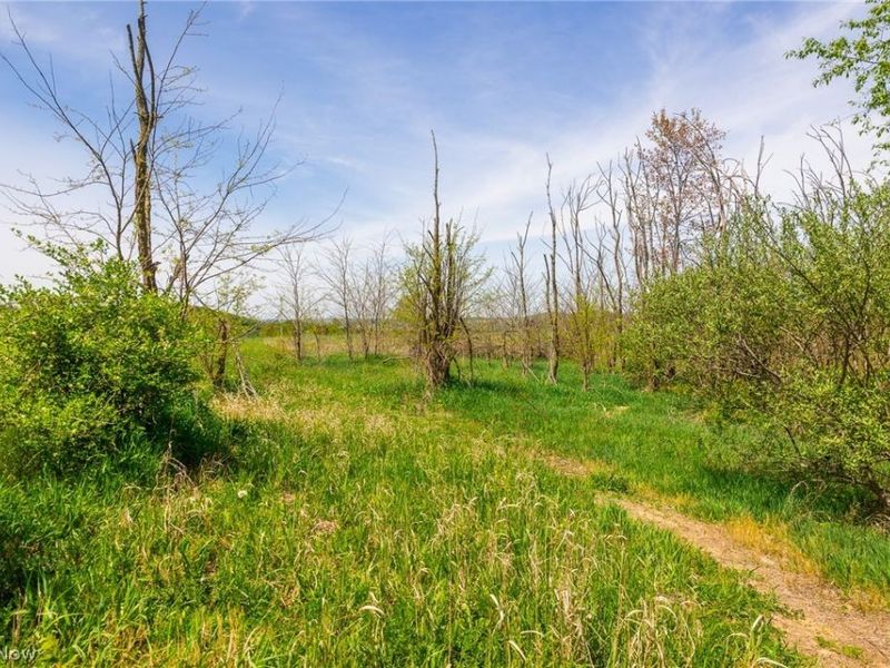 17418 118, Coshocton, OH 43812 Photo 35