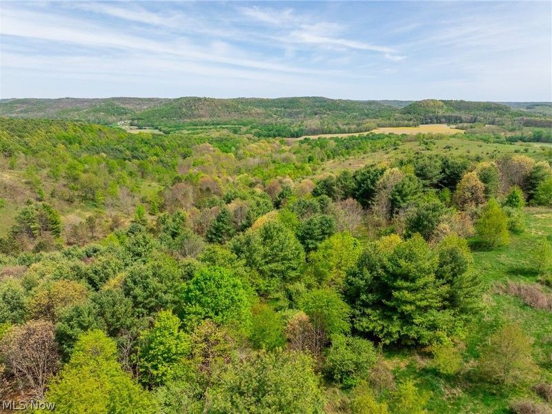 17418 118, Coshocton, OH 43812 Photo 40