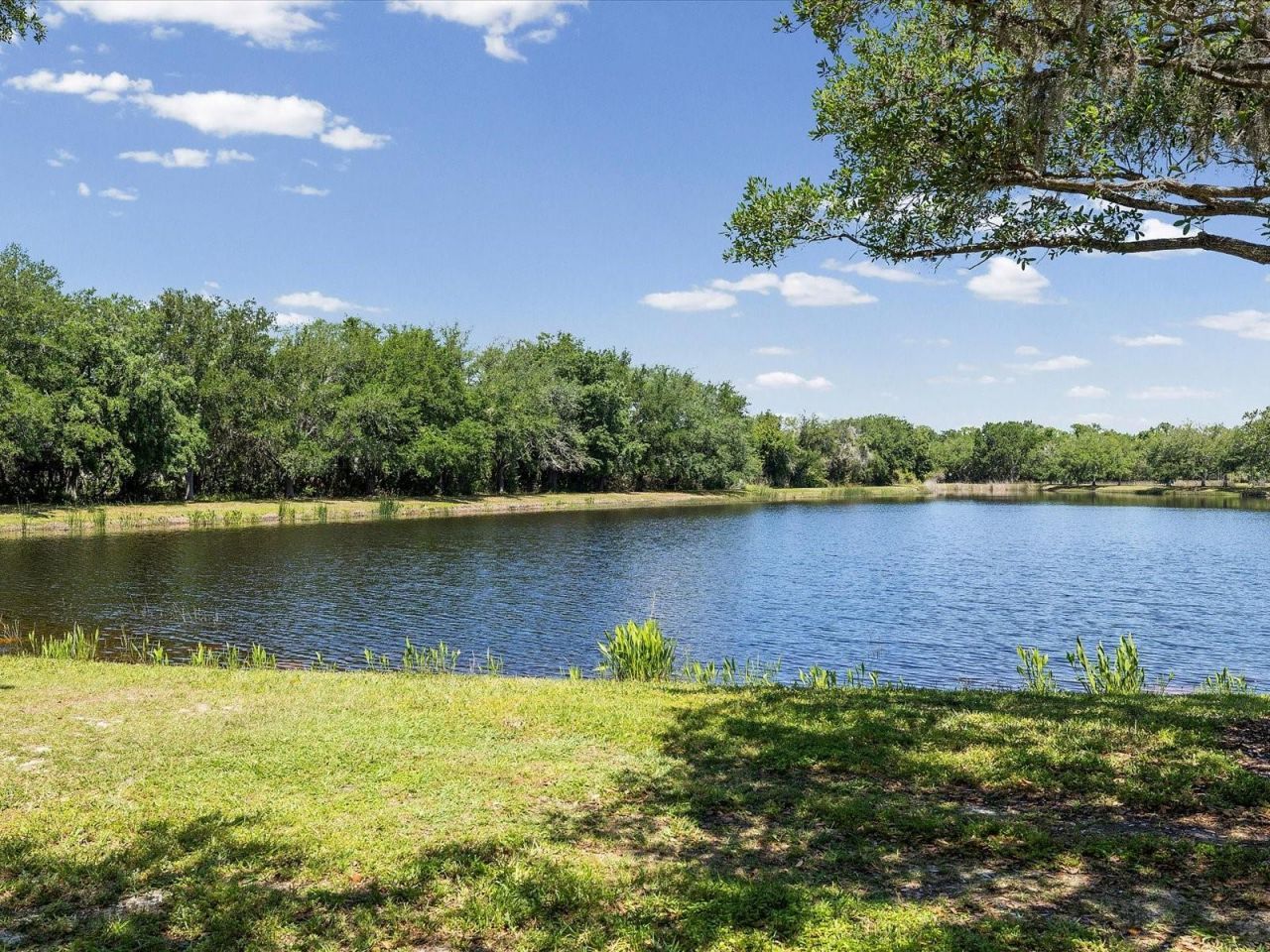 740 Rosemary Circle, Bradenton, FL 34212 Photo