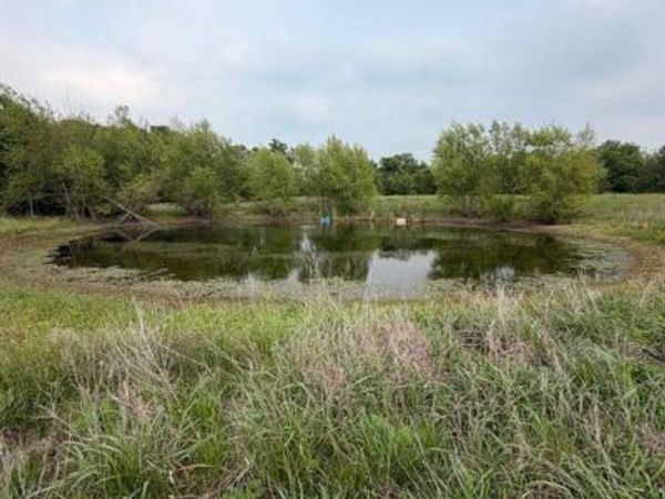 345 CR 3346 , Hubbard, TX 76648