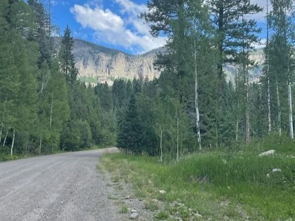 207 Camp Robber Drive, Creede, CO 81130