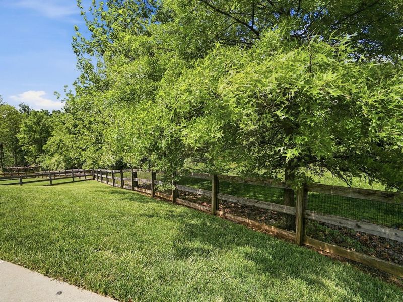 1517 Crosswinds Drive, Independence, KY 41051 Photo 48