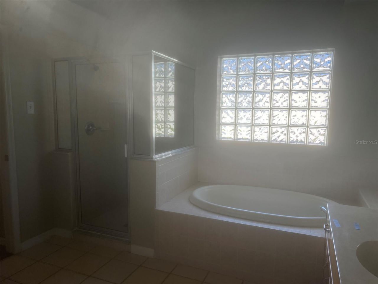 10237 Shadow Branch Drive, Tampa, FL 33647 Photo