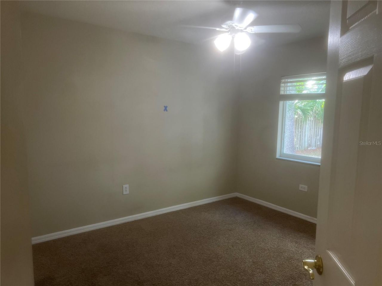 10237 Shadow Branch Drive, Tampa, FL 33647 Photo