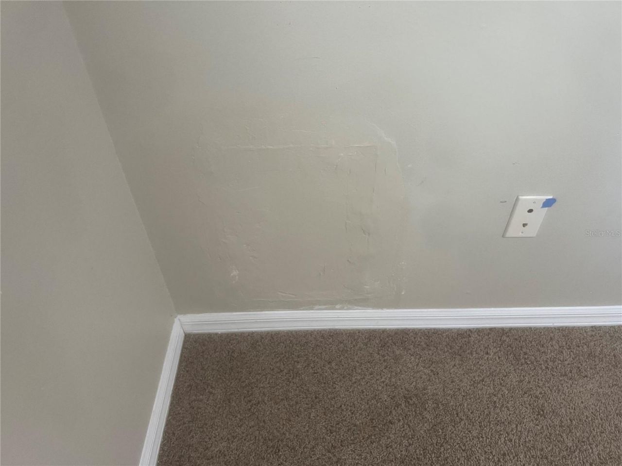 10237 Shadow Branch Drive, Tampa, FL 33647 Photo