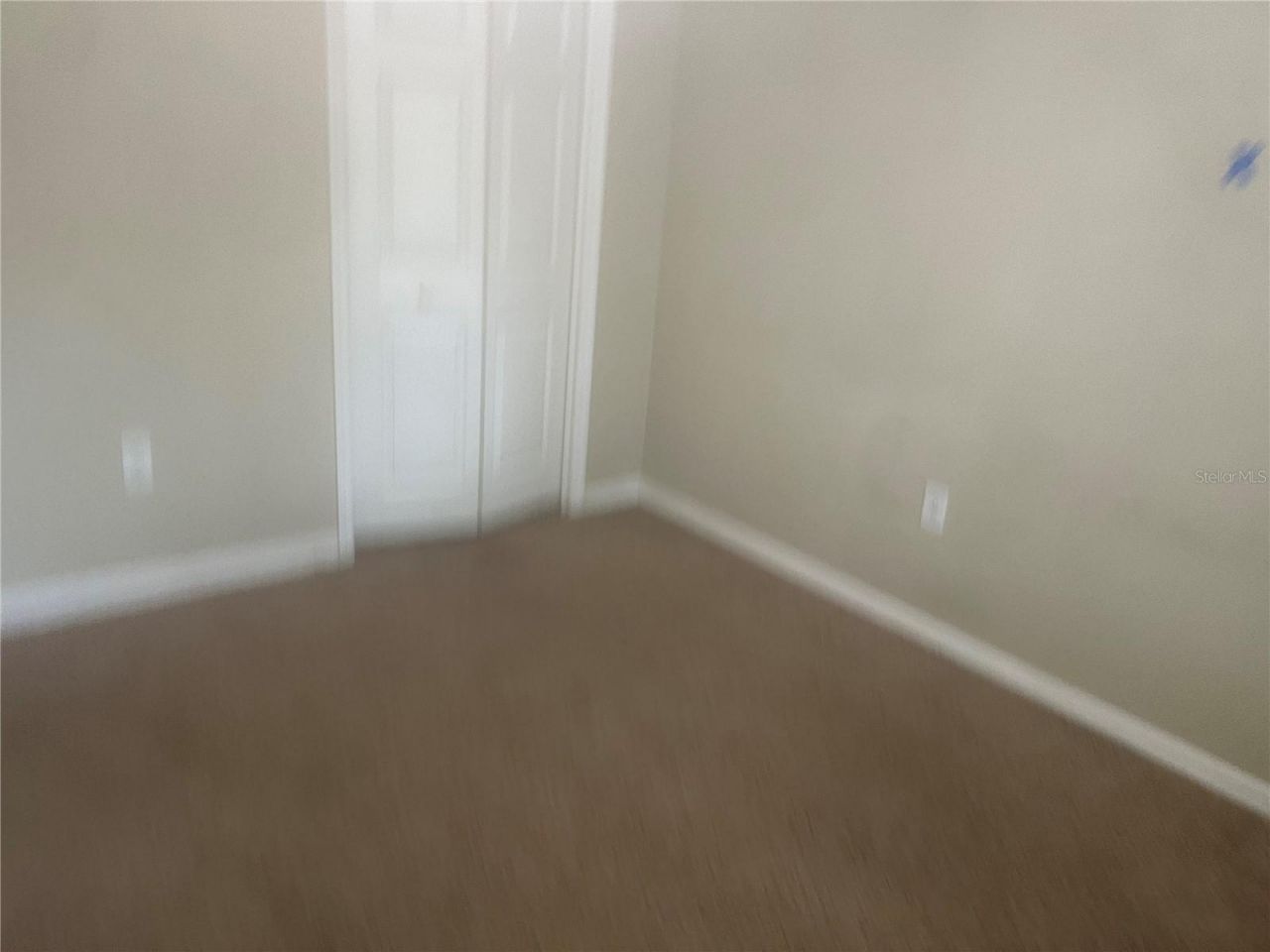 10237 Shadow Branch Drive, Tampa, FL 33647 Photo
