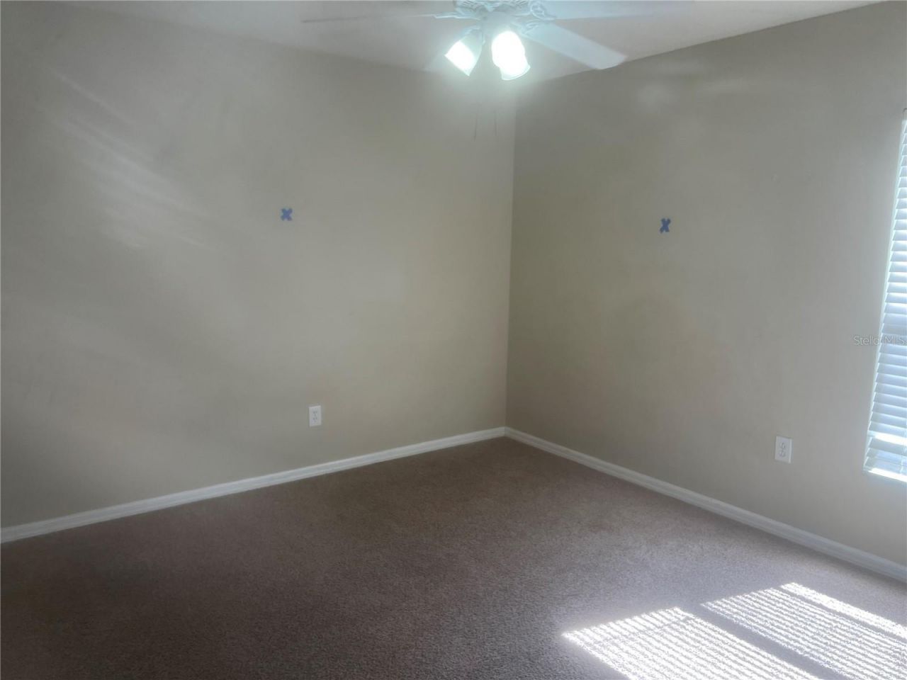 10237 Shadow Branch Drive, Tampa, FL 33647 Photo