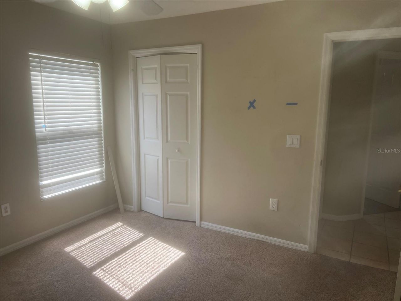 10237 Shadow Branch Drive, Tampa, FL 33647 Photo