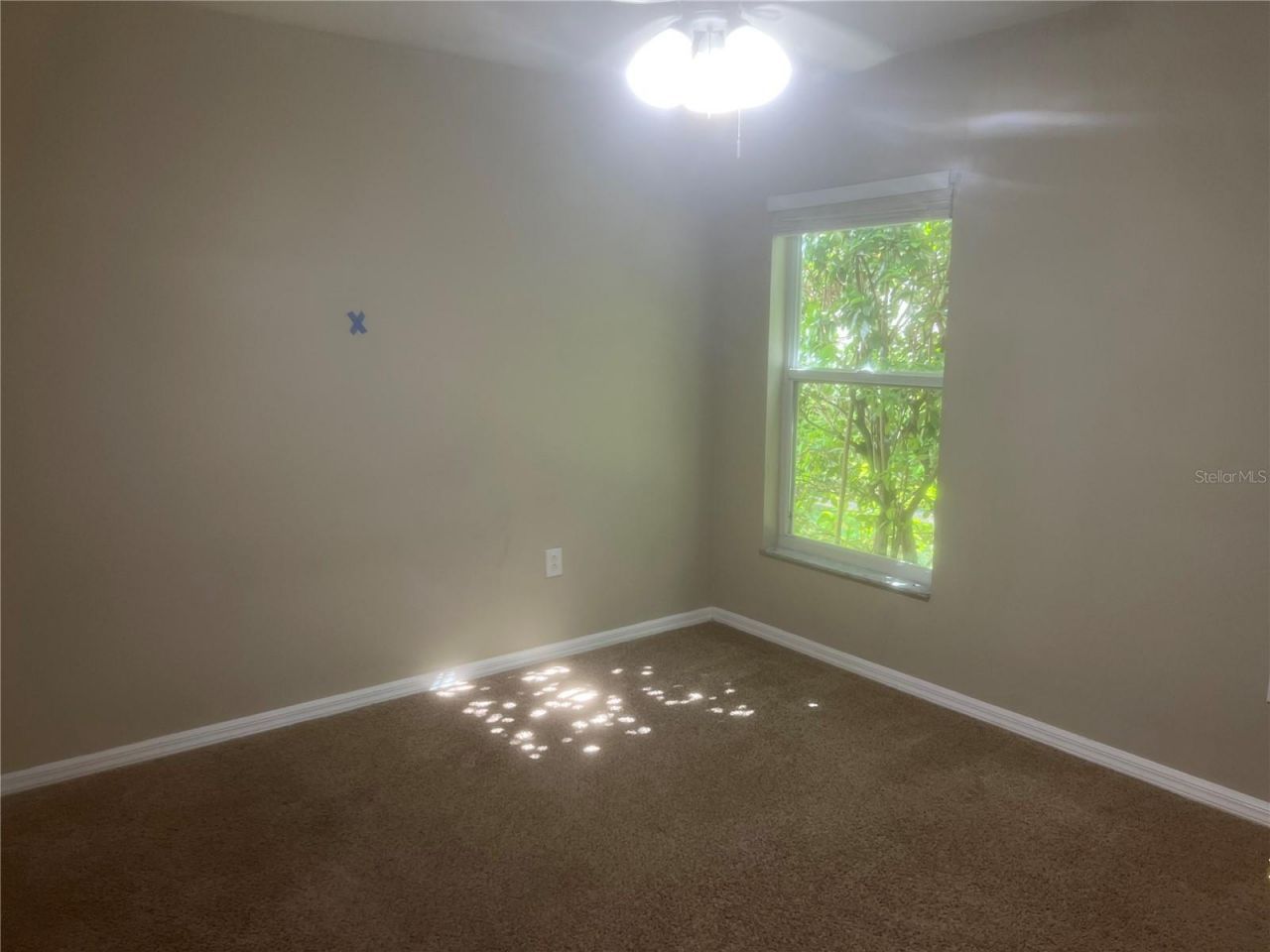 10237 Shadow Branch Drive, Tampa, FL 33647 Photo