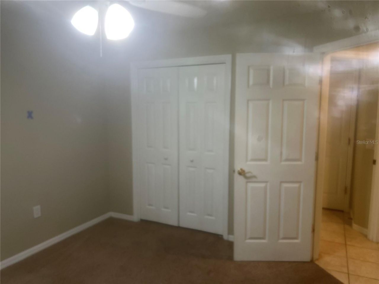 10237 Shadow Branch Drive, Tampa, FL 33647 Photo