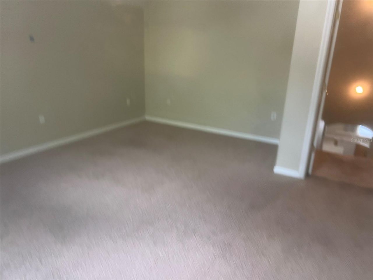 10237 Shadow Branch Drive, Tampa, FL 33647 Photo