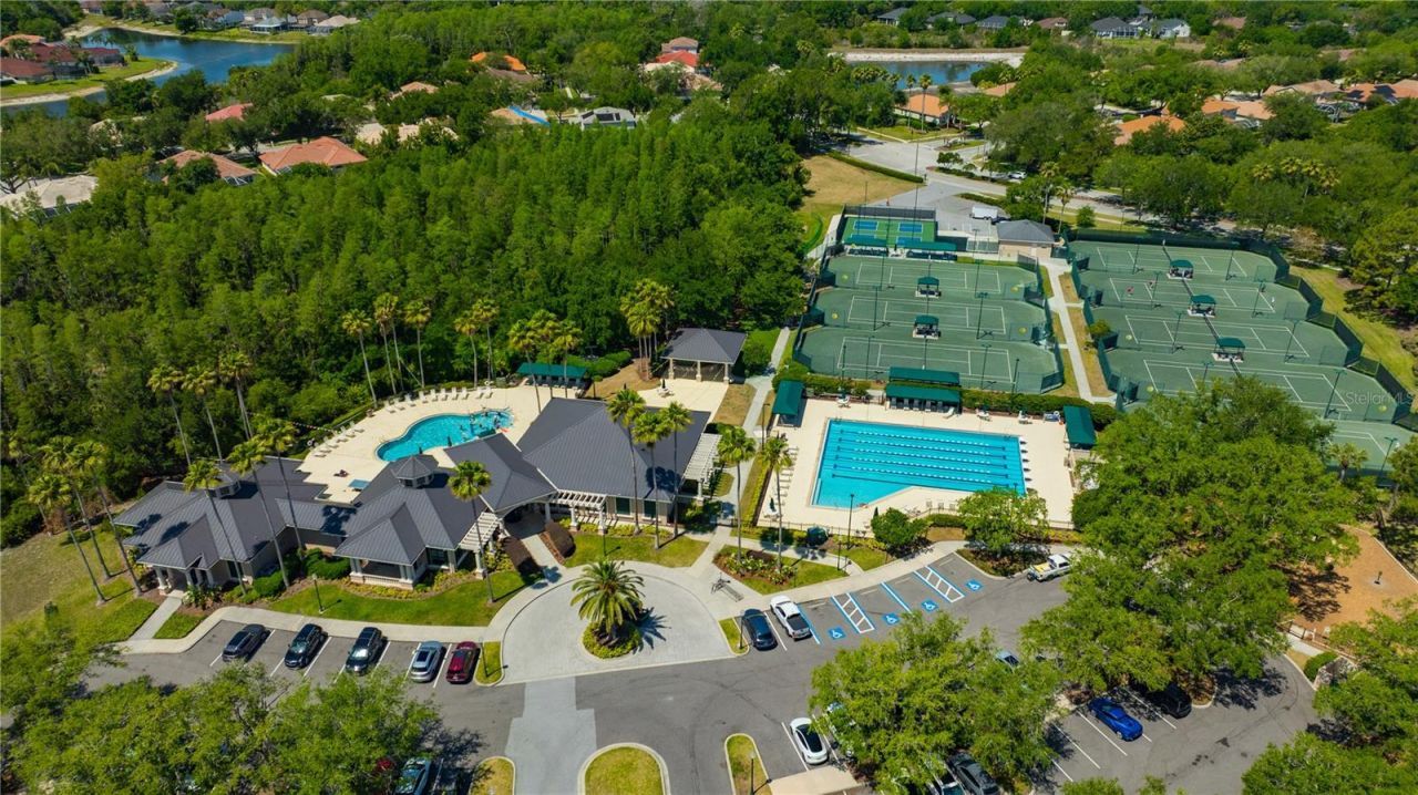 10237 Shadow Branch Drive, Tampa, FL 33647 Photo
