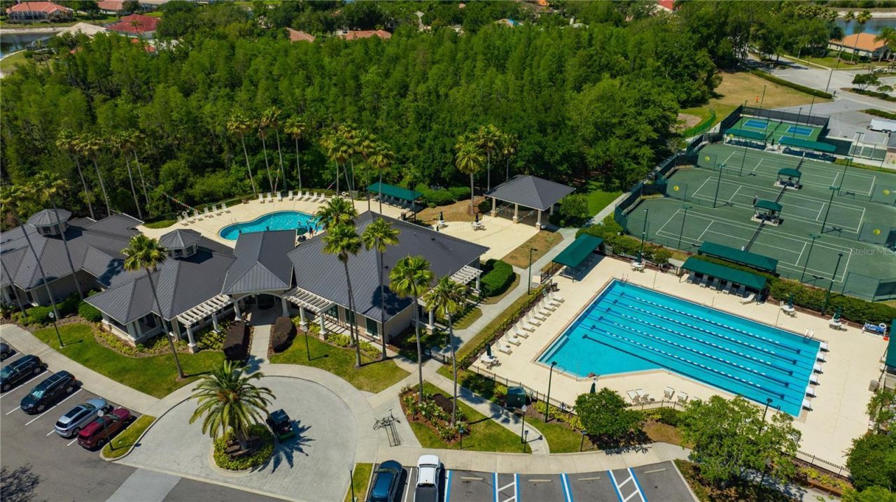 10237 Shadow Branch Drive, Tampa, FL 33647 Photo
