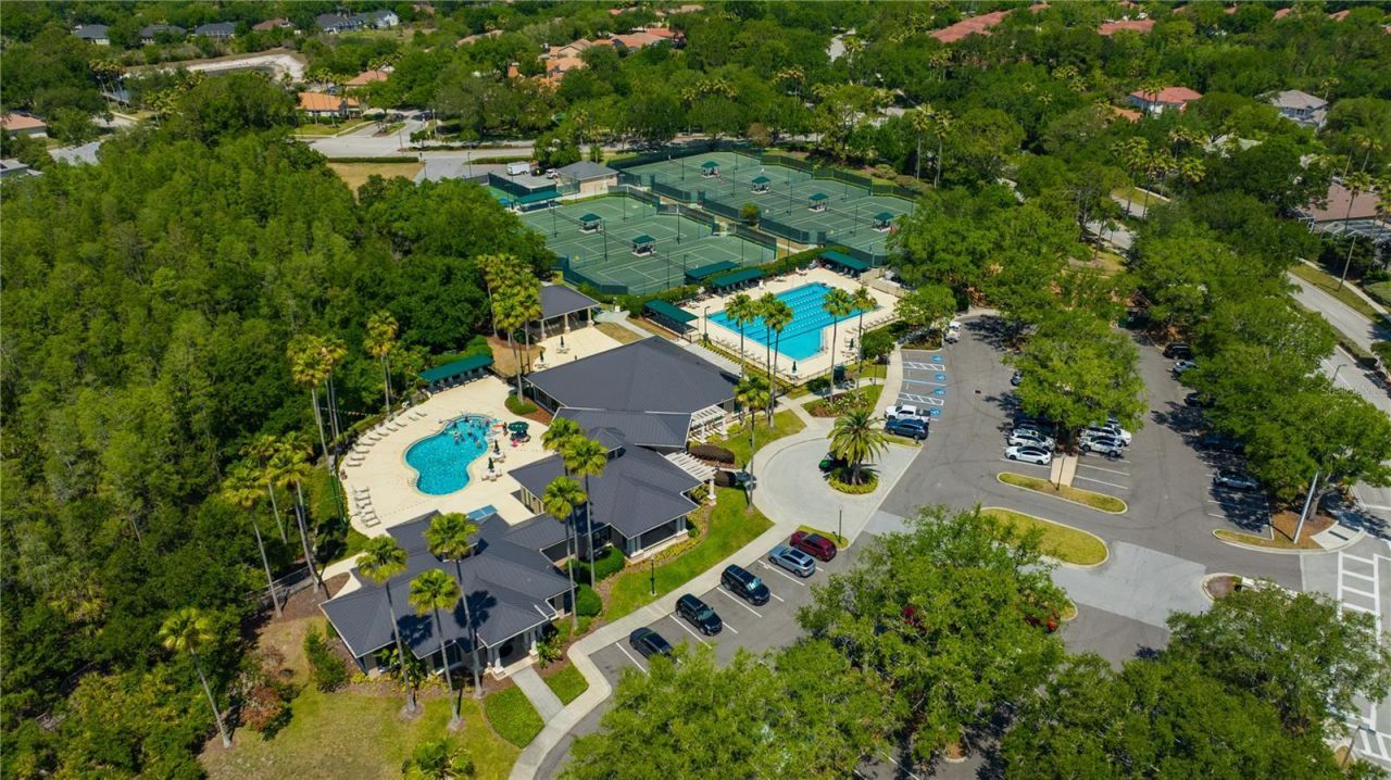 10237 Shadow Branch Drive, Tampa, FL 33647 Photo