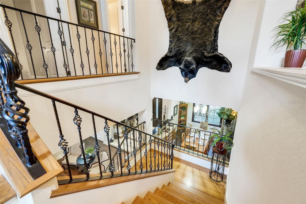 11610 Osprey Pointe Boulevard, Clermont, FL 34711 Photo