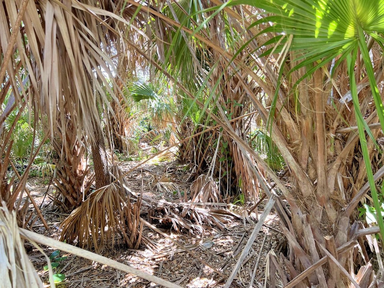 Maccaughey Drive, North Port, FL 34287 Photo