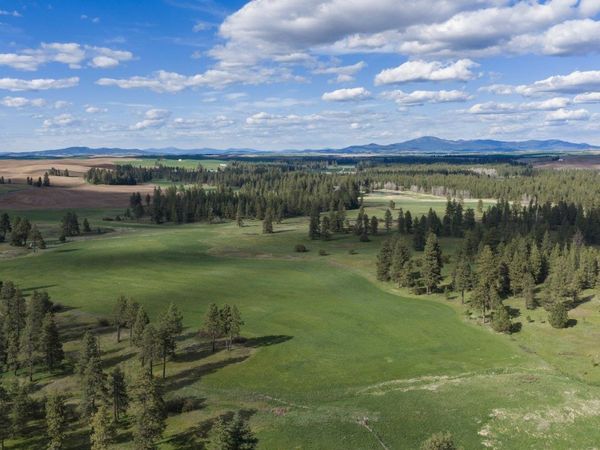 32312 S North Pine Creek Rd, Spangle, WA 99031