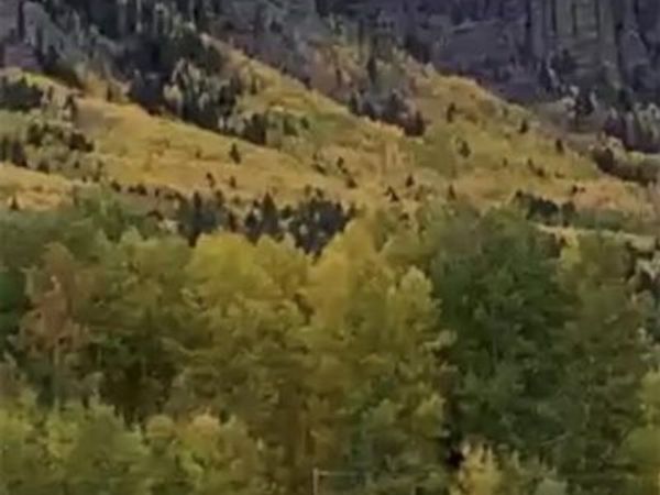 212 Camp Robber Drive, Creede, CO 81130